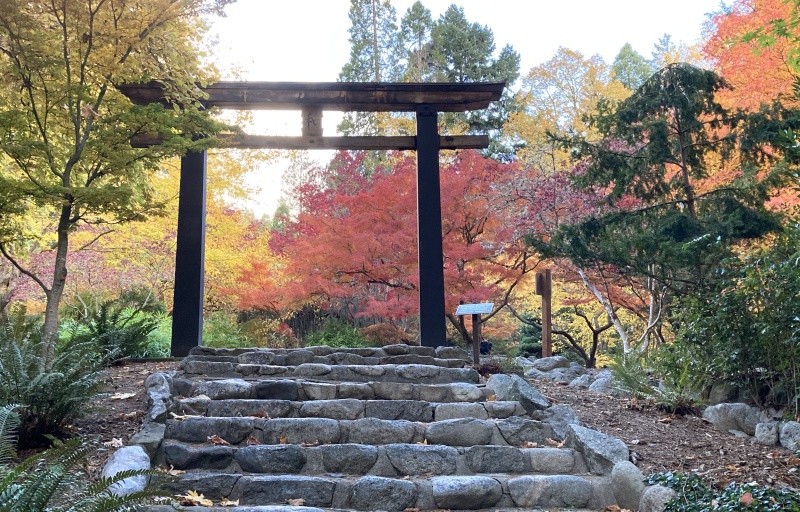 A japanese-style gate at the top of stairs in the fall.