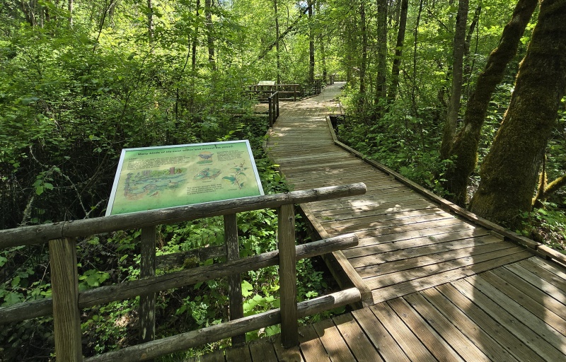 The boardwalk at McGregor Park