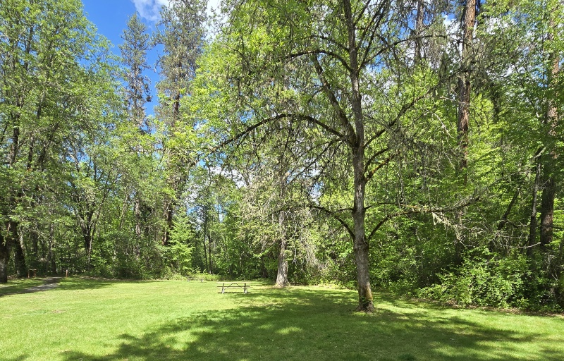 McGregor Park picnic area