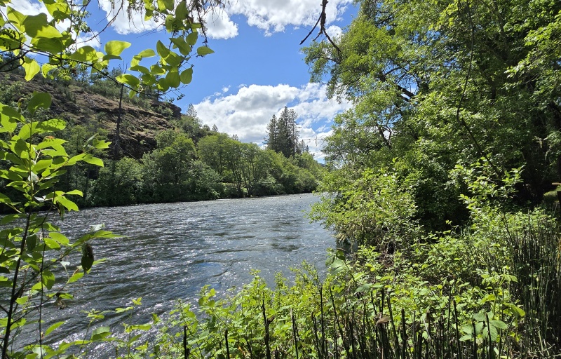A view of the Rogue River at McGregor Park
