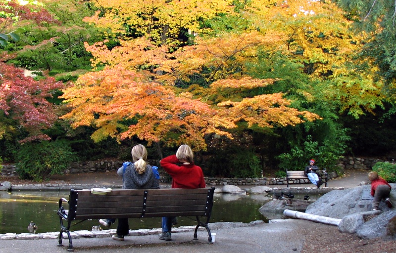 Visitors sit on benches overlooking a pond in the fall.