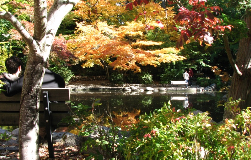 Visitors sit on benches surrounding a pond in the fall.