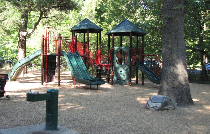 A playground.