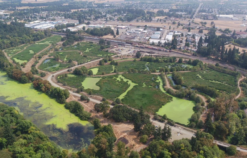 An aerial view of the gardens from above