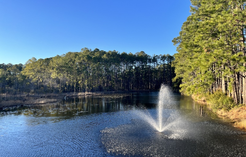 Pond with Fountain 