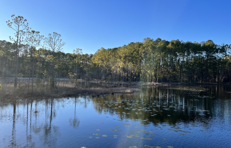 Pond at Sgt. Jasper