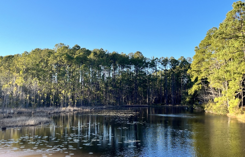 Pond at Sgt. Jasper