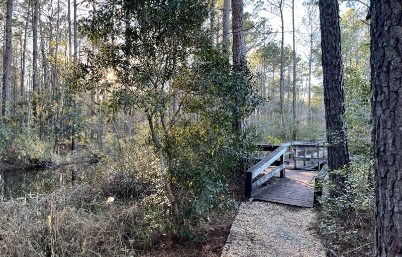 Trail at Sgt. Jasper