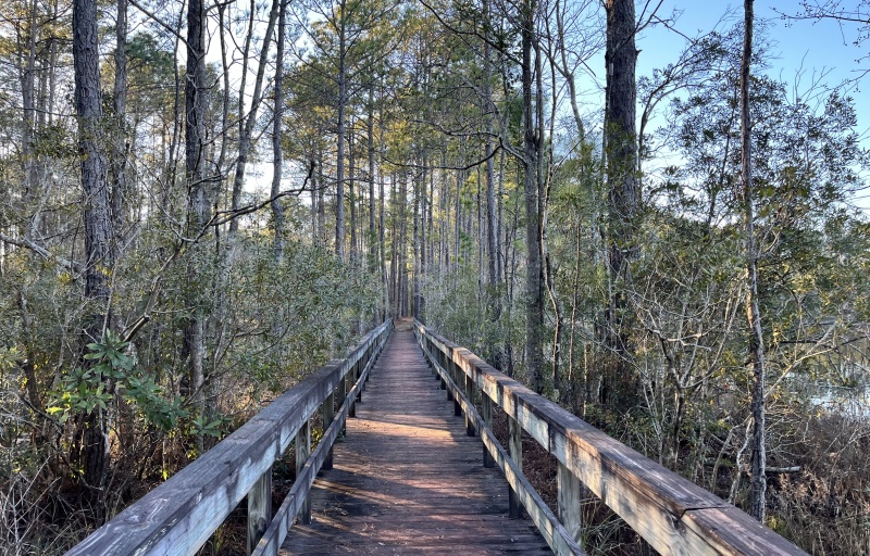 Boardwalk at Sgt. Jasper