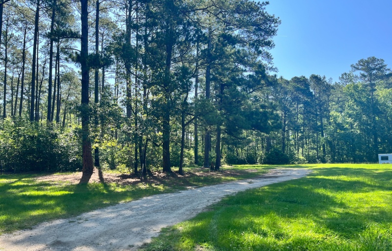 Buncombe Trailhead