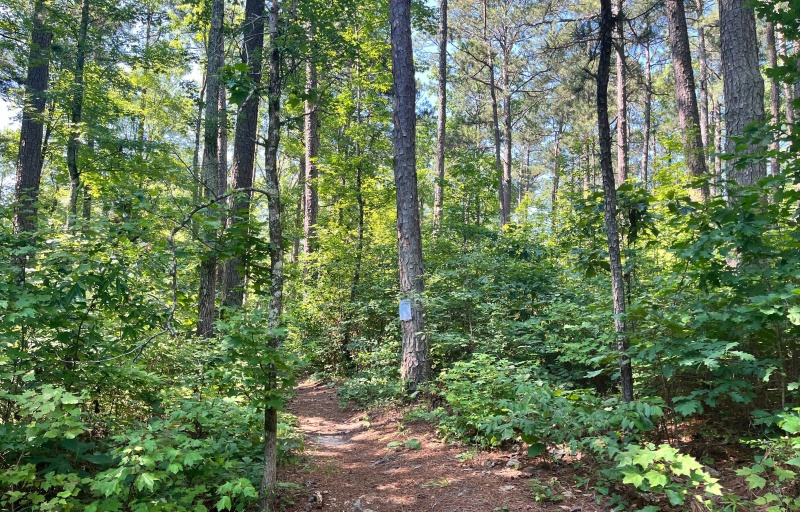 Buncombe Trail