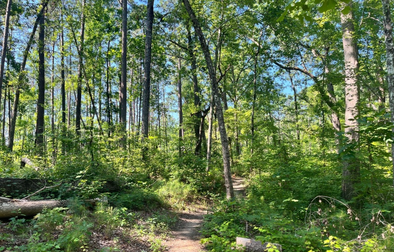 Buncombe Trail