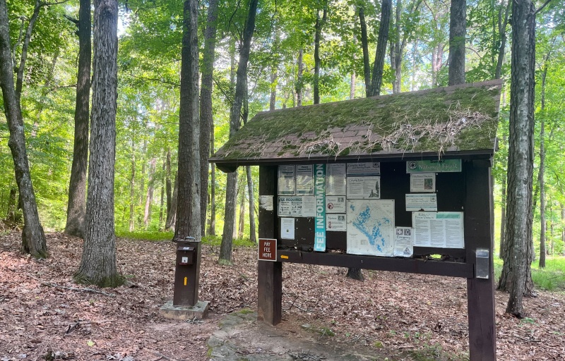 Parsons Mountain 