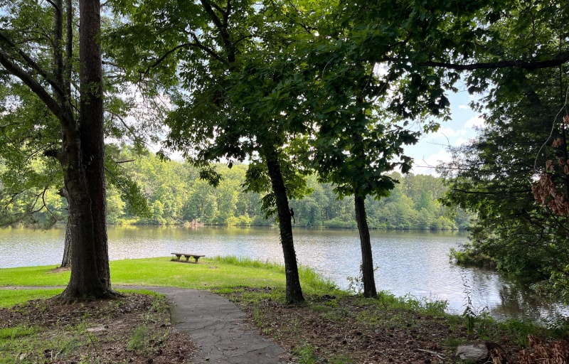 Parsons Mountain Lake Trail