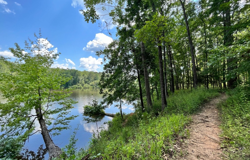 Parsons Mountain Lake Trail