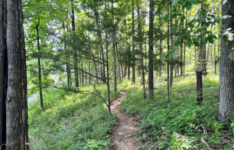 Parsons Mountain Lake Trail