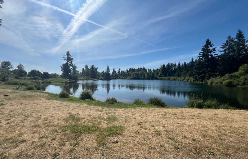 Young Lake