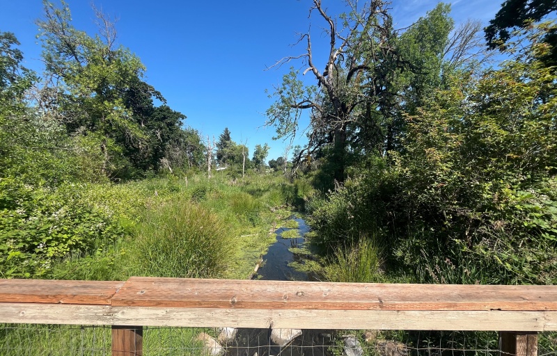 View of a stream from a bridge