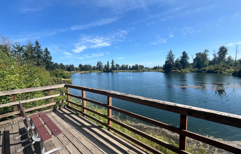 Fishing platform on Young Lake