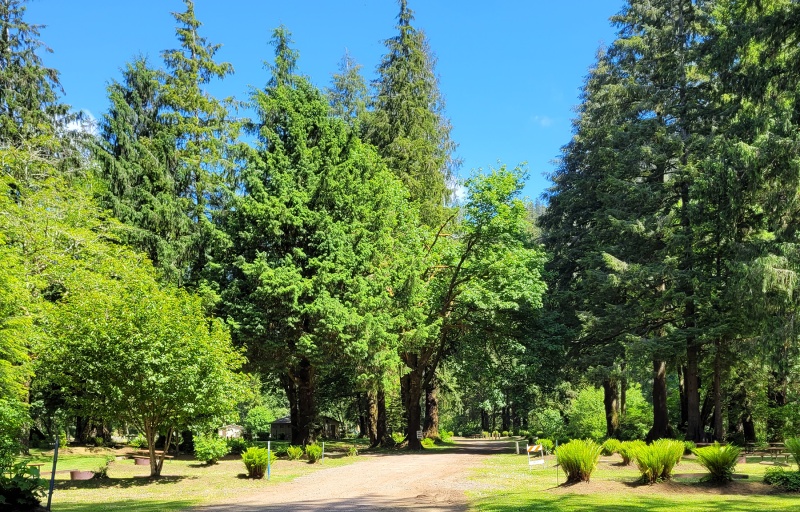 Park entrance at Kilchis River Campground