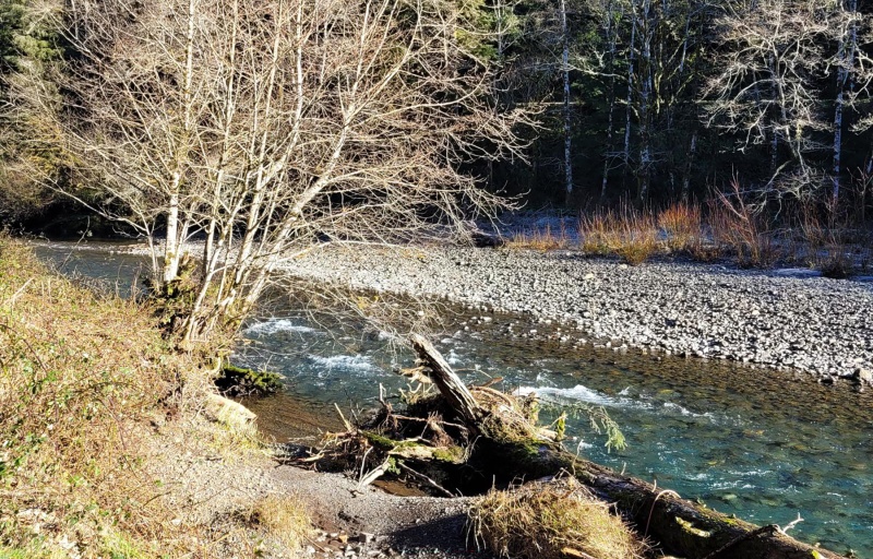 Clear waters of the Kilchis River