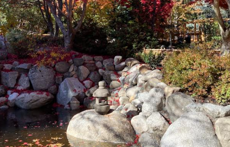 A Japanese lantern made of stone, sitting on a rock at the edge of the pond.