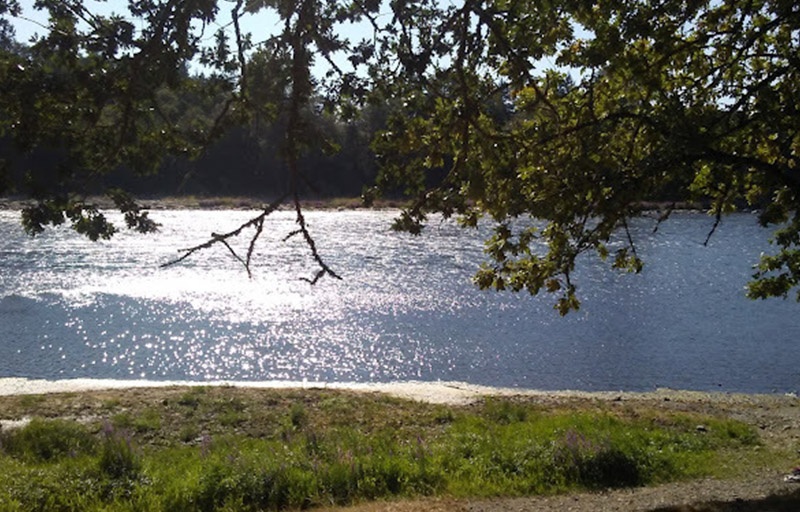 Lake at Spong's Landing