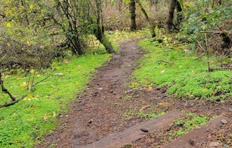Trail at Spong's Landing