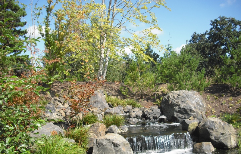One of the many waterfalls at the gardens rushing with water