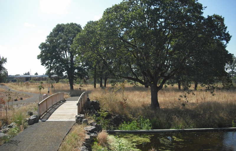 A close up of the walkway and bridge over the water with oak trees surrounding