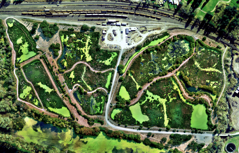 A drone shot from above the Talking Water Gardens property