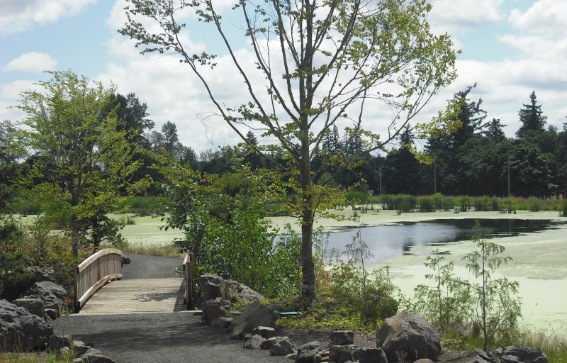 A  paved trail and bridge over the waterway 