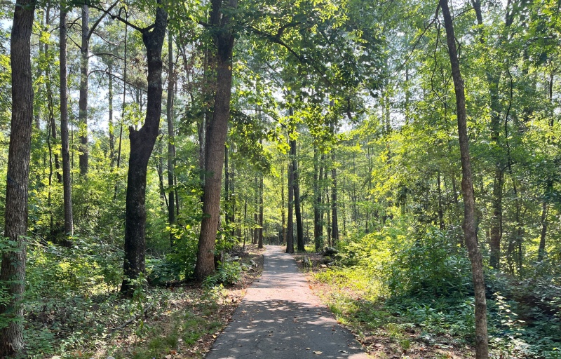 Ninety Six NHS Trail