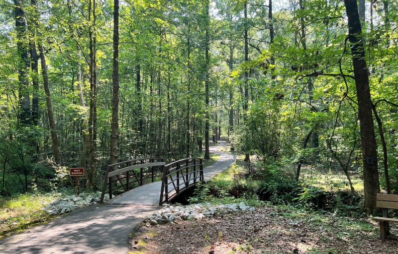Ninety Six NHS Trail