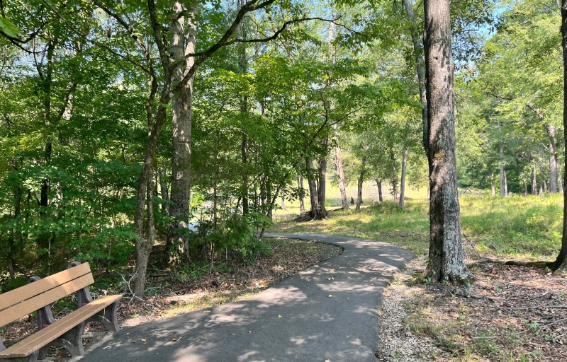 Ninety Six NHS Trail