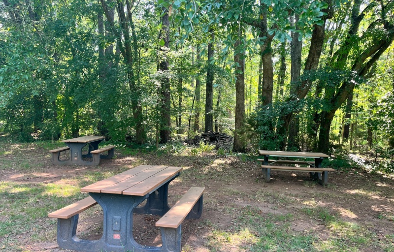 Ninety Six NHS Picnic Area