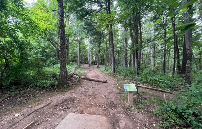 Hole 8's fairway