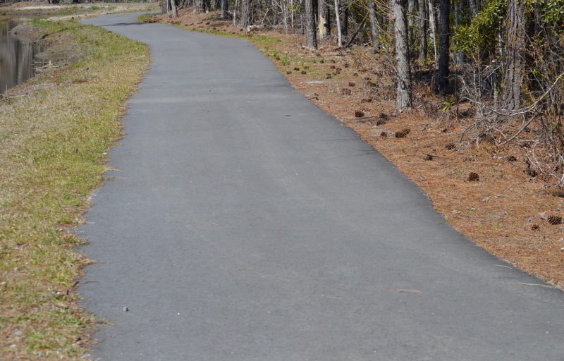 Paved Trail