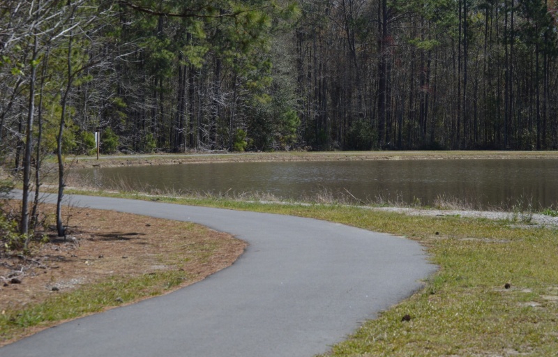 Paved Trail and Pond