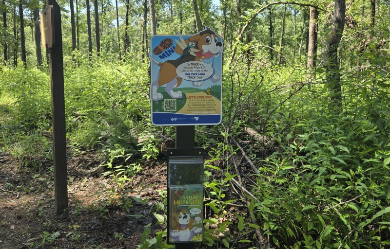 Lick Fork Lake