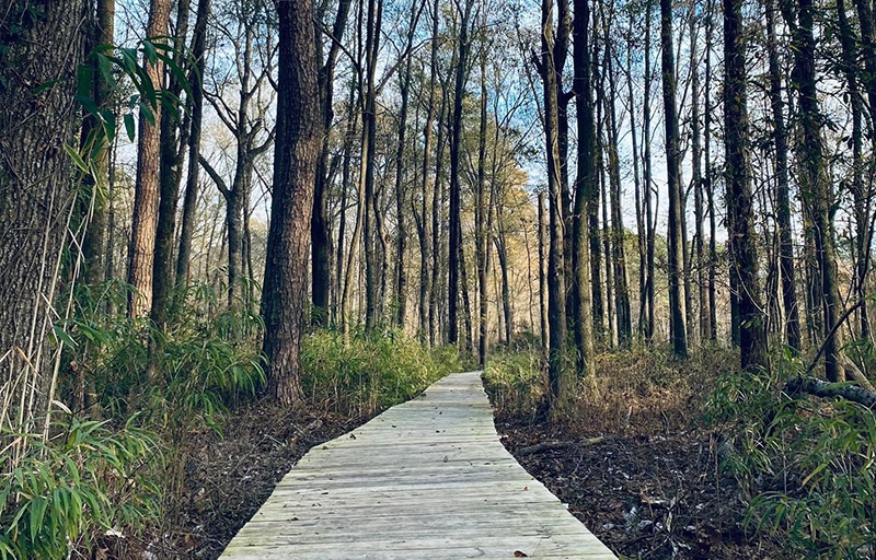 Boardwalk at Howell Woods ELC