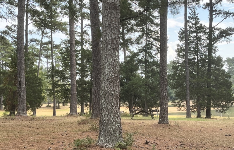 Baker Creek SP