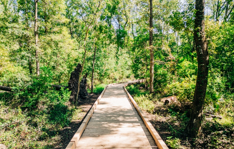 Wildlife Sanctuary