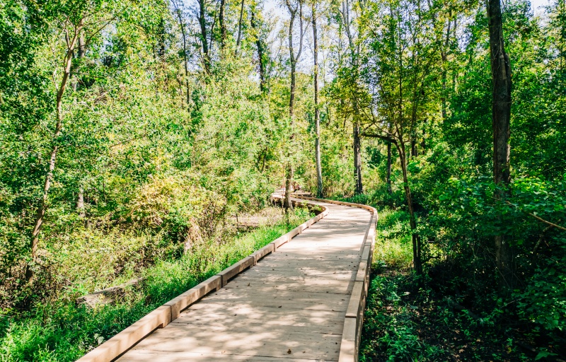 Wildlife Sanctuary