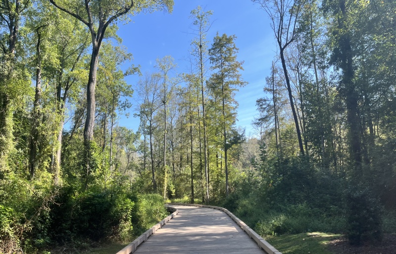 Shot Pouch Boardwalk