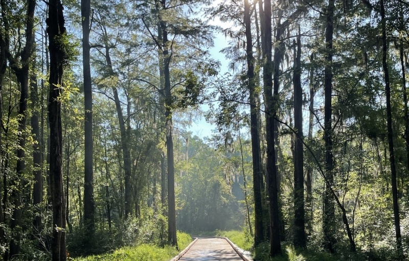 Shot Pouch Boardwalk