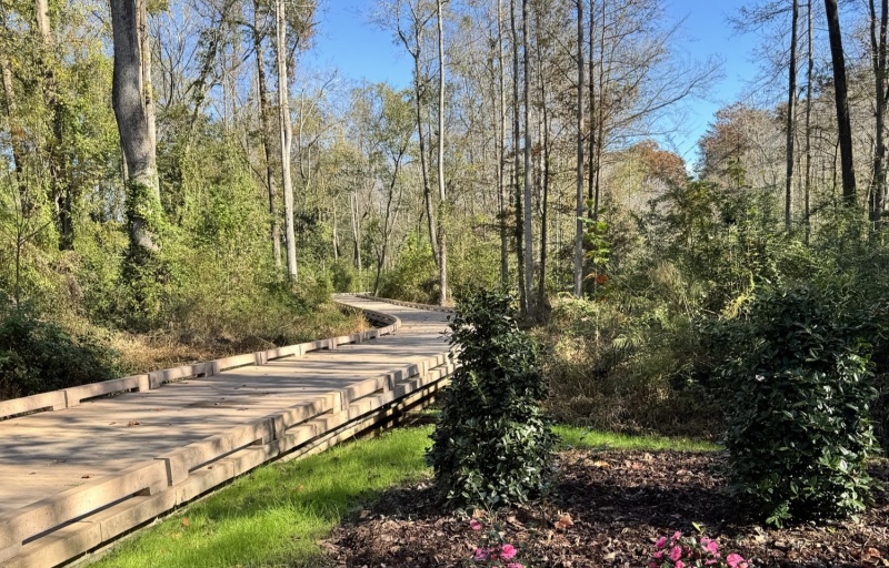 Shot Pouch Boardwalk