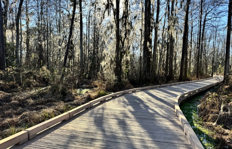 Shot Pouch Boardwalk