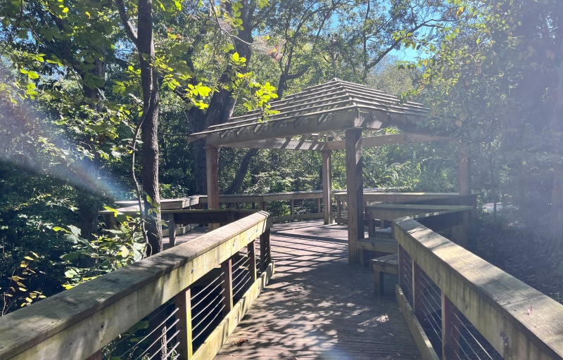 Overlook at Kalmia
