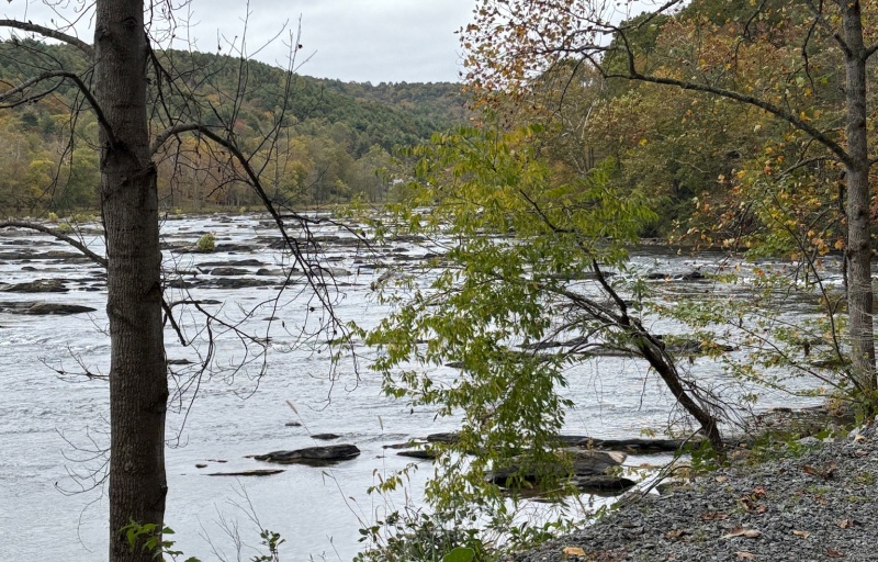 View from the banks of the New River